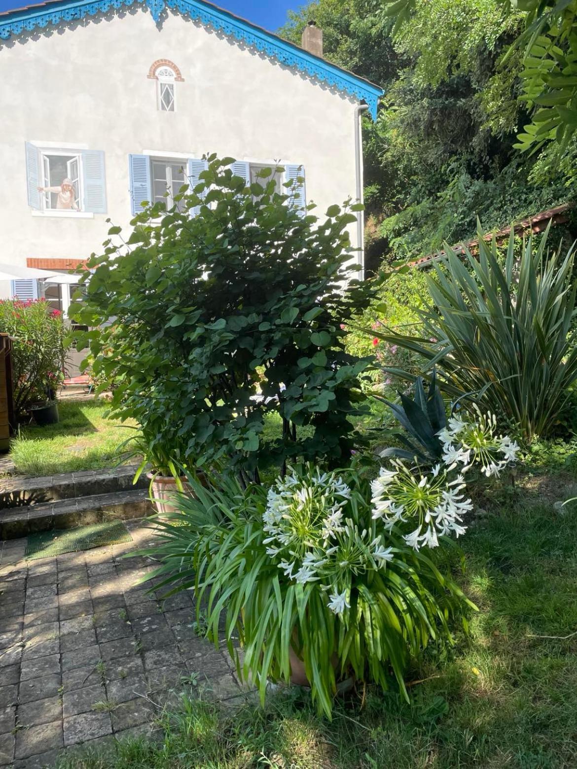 مبيت وإفطار Vaux-en-Beaujolais Les Agapanthes المظهر الخارجي الصورة